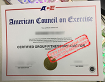Fake American Council on Exercise (ACE) Certificate