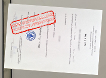 Fake Freie Universität Berlin Diploma