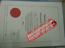 fake Asia Pacific University diploma