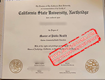 California State University Northridge Fake Degree