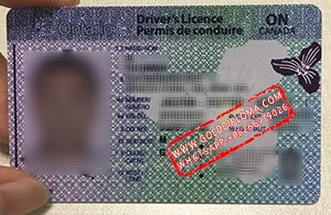 Fake Driver Licence Permis de Conduire on Canada