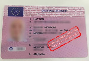 Fake UK Driving Licence