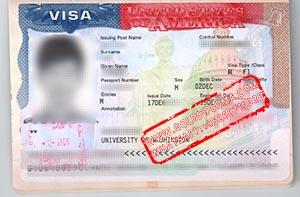 Fake VISA