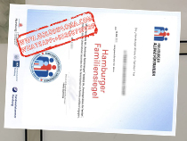 Hamburger Allianz Für Familien fake certificate