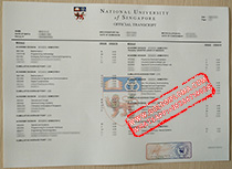 National University of Singapore fake transcript