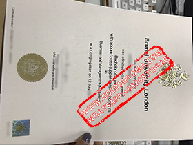 Brunel University London fake diploma