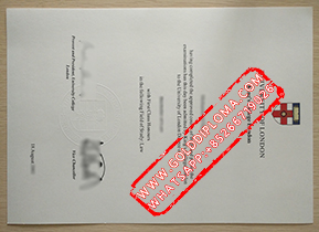 Kings College London fake diploma
