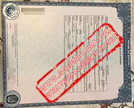 fake Birth Certificate