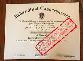 UMass Amherst fake diploma
